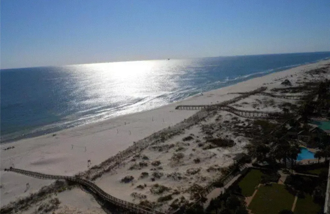 The Beach Club 1104B-1